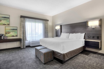 Suite, 1 King Bed, Non Smoking