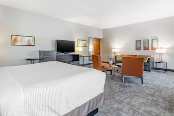 Suite, 1 King Bed, Non Smoking