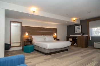Suite, 1 King Bed