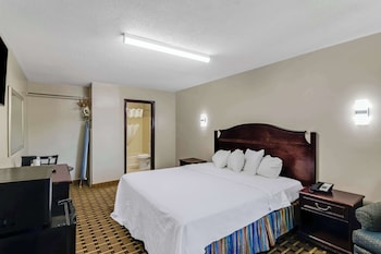Room, 1 King Bed, Non Smoking (Pet Friendly)