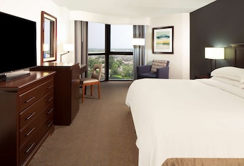 Room, 1 King Bed, Lake View