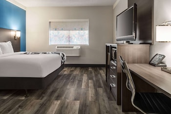 Room, 1 King Bed, Accessible, Non Smoking