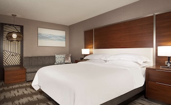 Room, 1 King Bed, Accessible, Allergy Friendly (Hearing)