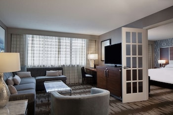 Suite, 1 King Bed, Allergy Friendly
