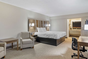 Standard Room, 1 King Bed, Non Smoking, Poolside