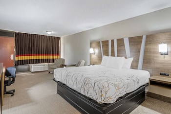 Standard Room, 1 King Bed, Non Smoking, Poolside