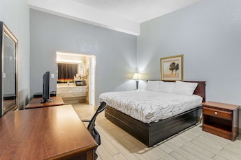 Standard Room, 1 King Bed, Non Smoking
