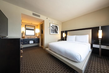 Room, 1 King Bed