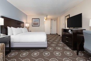 Room, 1 King Bed, Non Smoking