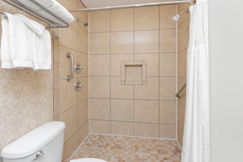 Junior Suite, 1 King Bed with Sofa bed, Non Smoking