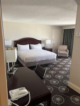 Junior Suite, 1 King Bed with Sofa bed, Non Smoking