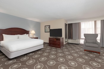 Junior Suite, 1 King Bed with Sofa bed, Non Smoking