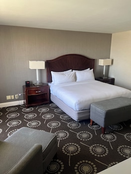 Junior Suite, 1 King Bed with Sofa bed, Non Smoking
