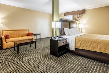 Room, 1 King Bed with Sofa bed, Non Smoking