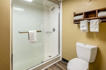 Room, 1 King Bed with Sofa bed, Non Smoking