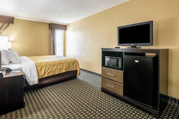 Room, 1 King Bed with Sofa bed, Non Smoking
