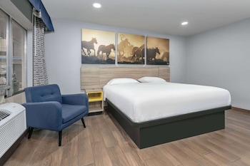 Room, 1 King Bed, Smoking