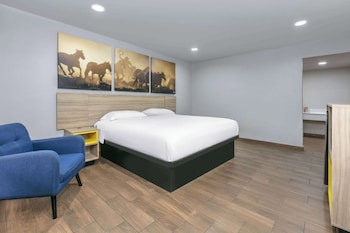 Room, 1 King Bed, Non Smoking