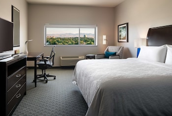 Room, 1 King Bed, Mountain View