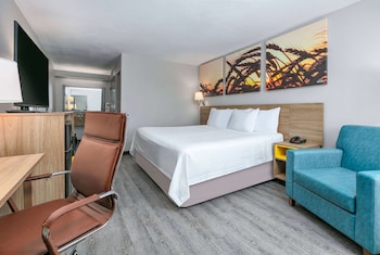 Standard Room, 1 King Bed, Smoking