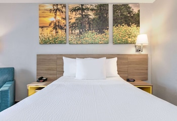 Suite, 1 Double Bed, Refrigerator