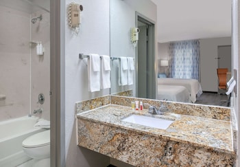 Suite, 1 Double Bed, Refrigerator