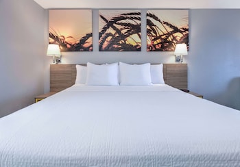 Standard Room, 1 King Bed, Smoking