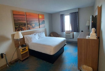 Room, 1 Queen Bed, Non Smoking (Pet-Friendly)