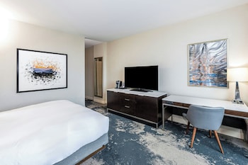 Suite, 1 Bedroom