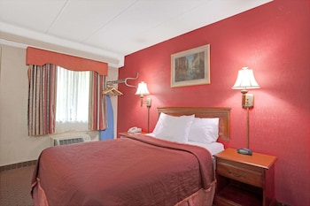 Room, 1 King Bed, Smoking