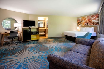 3 Queen Beds, Studio Suite, Non-Smoking