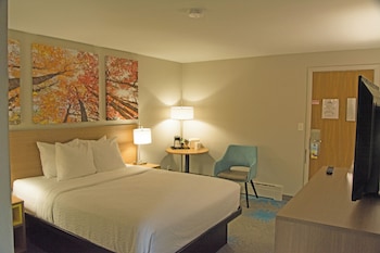 Standard Room, 1 Queen Bed