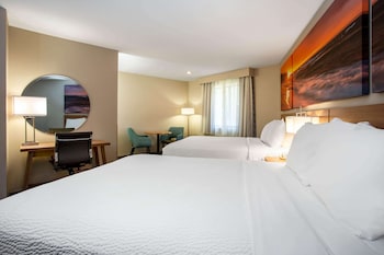 2 Queen Beds, Studio Suite, Non-Smoking