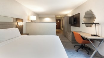 Suite, 1 King Bed