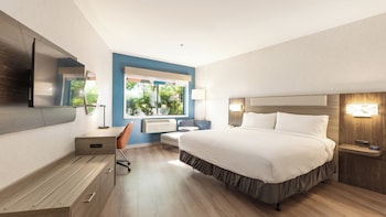 Standard Room, 1 King Bed, Accessible (Communications Accessible)