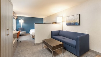 Suite, 1 King Bed
