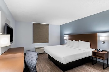 Room, 1 King Bed, Accessible, Non Smoking