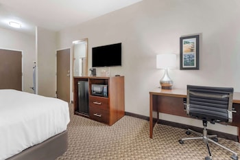 Room, 1 King Bed, Non Smoking