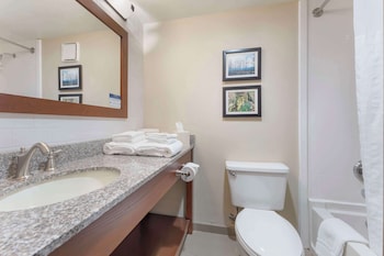 Room, 1 King Bed, Non Smoking