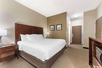 Room, 1 King Bed, Non Smoking