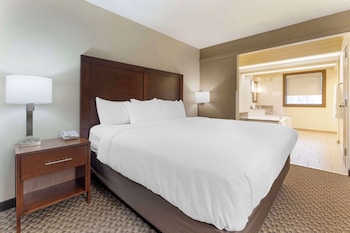 Suite, 1 King Bed, Non Smoking (1 room)