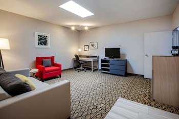 Deluxe Suite, 1 King Bed, Non Smoking
