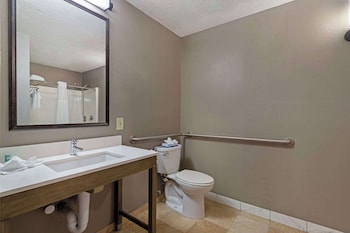 Standard Room, 1 King Bed, Accessible, Non Smoking