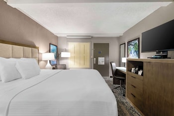 Standard Room, 1 King Bed, Accessible, Non Smoking