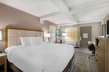 Standard Room, 1 King Bed, Non Smoking