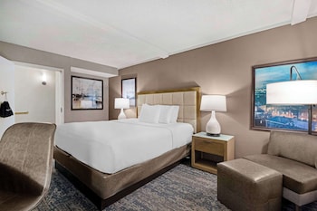 Standard Room, 1 King Bed, Accessible, Non Smoking