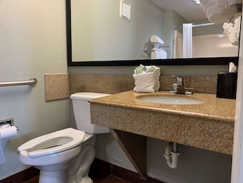 Standard Room, 1 King Bed, Accessible, Smoking