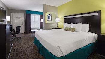 Standard Room, 1 King Bed with Sofa bed, Non Smoking, Refrigerator & Microwave (with Sofabed)