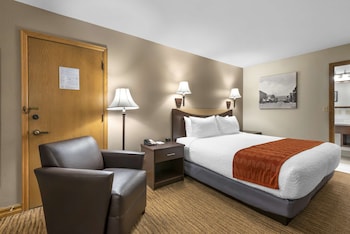 Standard Room, 1 King Bed, Accessible, Non Smoking (Bathtub)