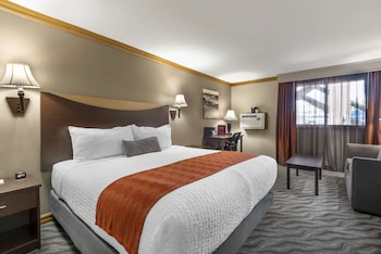 Standard Room, 1 King Bed, Non Smoking, Refrigerator & Microwave (Walk-in Shower;with Sofabed)